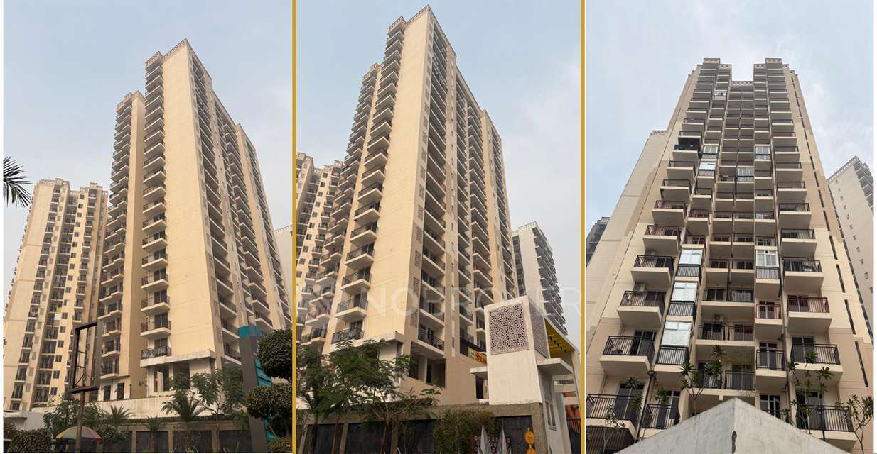 3 BHK Flat In Spring Homes Sector 1 Noida for Rent  In Kakrala