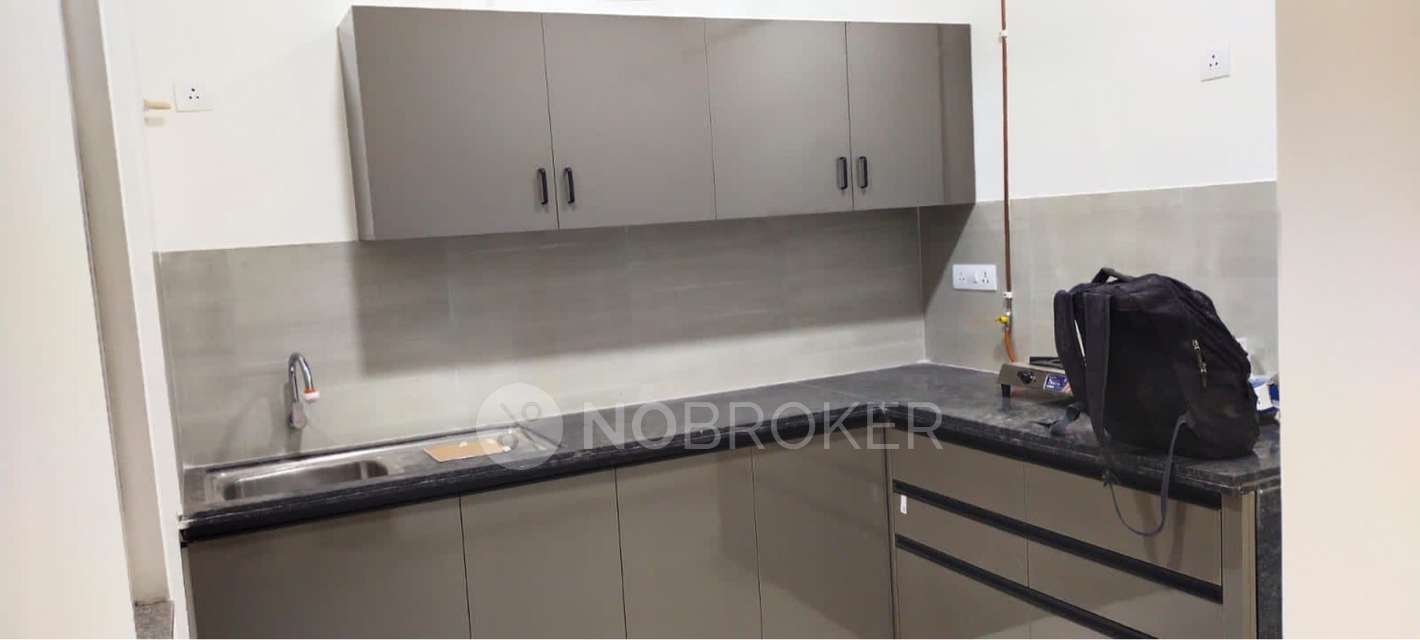 3 BHK Flat In Kalpataru Exquisite Wakad for Rent  In Wakad