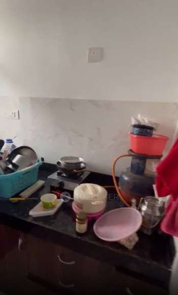 Single Room for Female In 1 BHK  In Chandrarang Serenity In Wakad