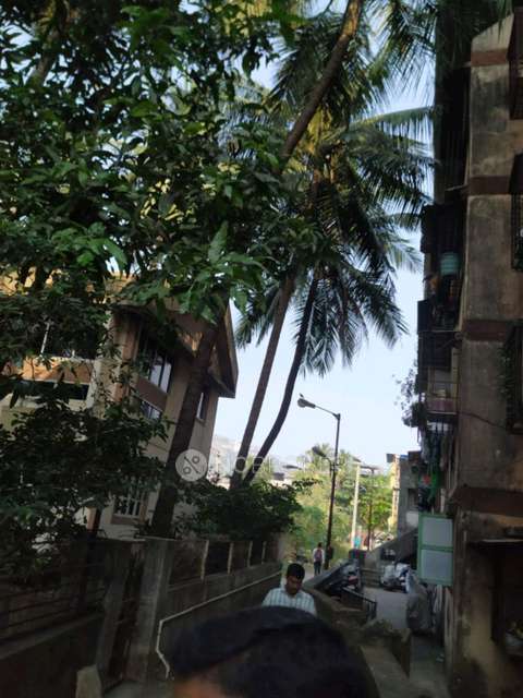 1 BHK Flat In Shree Saidham Chs Virar West For Sale  In Fr66+29r, Hira Vidyalay Rd, Kolwadi, Vartak Ward, Virar West, Virar, Maharashtra 401303, India