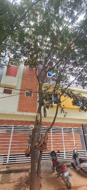 PG for Anyone in White Rose Layout Road