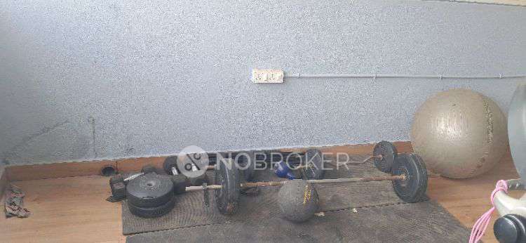 PG for Anyone in White Rose Layout Road