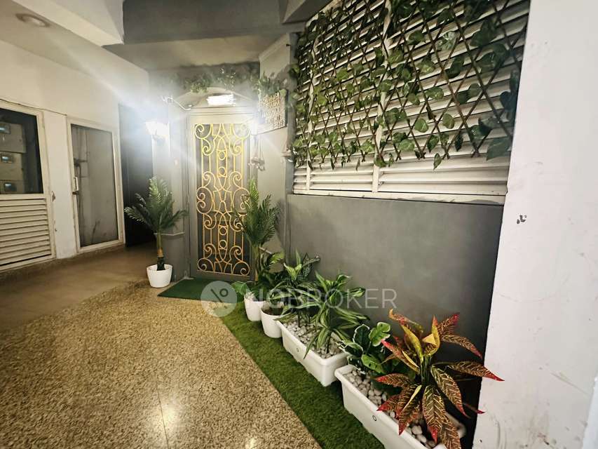 3 BHK Flat In Ajnara Daffodil, Sector137 For Sale  In Sector137