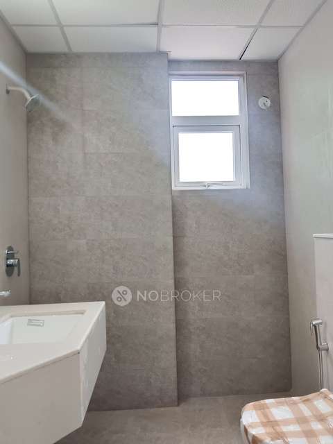 3 BHK Flat In Signature Global City 79b For Sale  In Sector 79