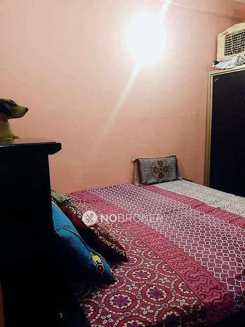 1 BHK Flat In Tulip Ivory for Rent  In Sector 70