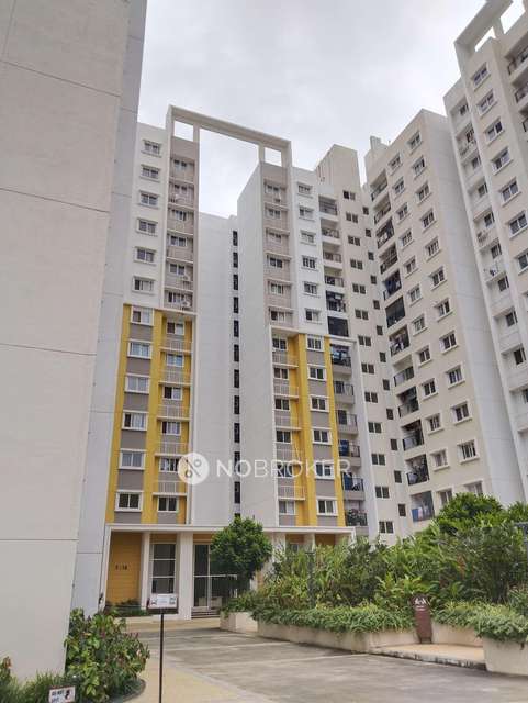 1 BHK Flat In Sattva Misty Charm For Sale  In Uttarahalli Hobli