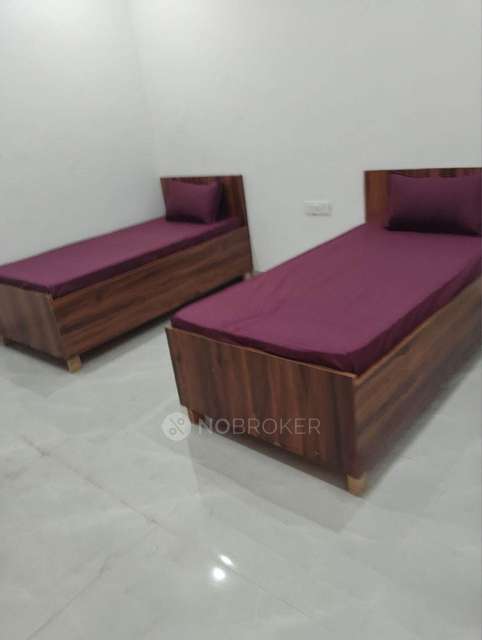 PG for Anyone in Chhalera Sector 44noida