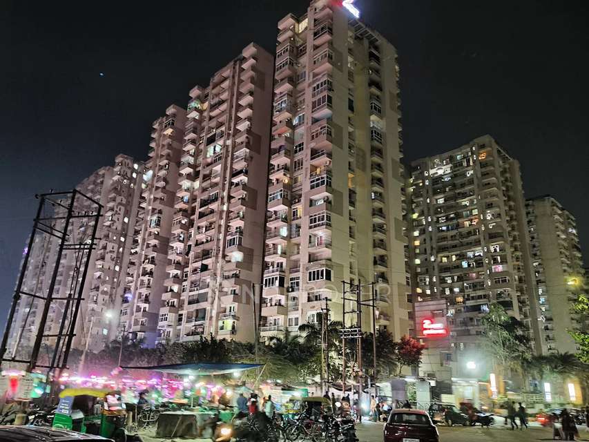 2 BHK Flat In Ace Platinum for Rent  In Zeta I