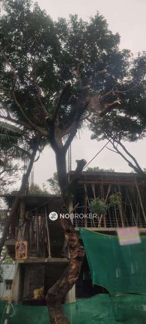 1 RK House for Rent  In Hosur Rd