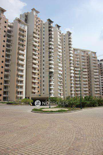 3 BHK Flat In Supertech Ecociti For Sale  In Sector-137