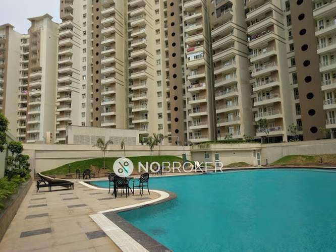 3 BHK Flat In Supertech Ecociti For Sale  In Sector-137