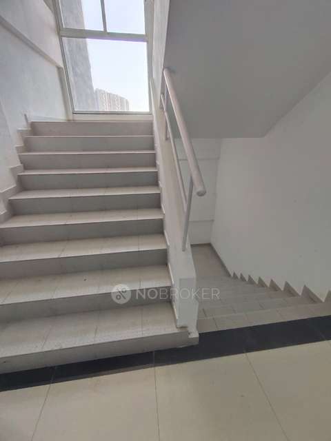 3 BHK Flat In Ace Aborde for Rent  In Ravet