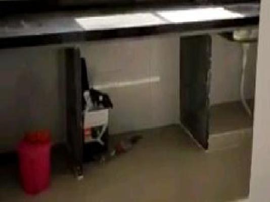 2 BHK Flat In Kgn Heights for Rent  In Kondhwa