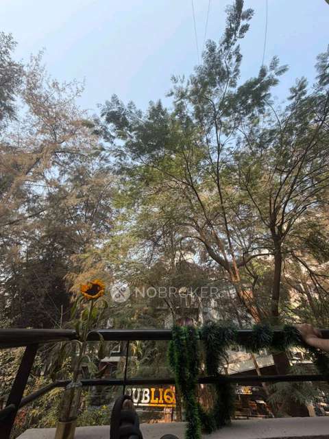 Single Room for Female In 2 BHK  In Clover Dale A, Koregoan Park  In Clover Dale A