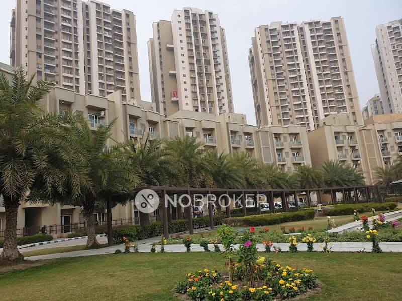 2 BHK Flat In Paras Tierea for Rent  In Sector 137