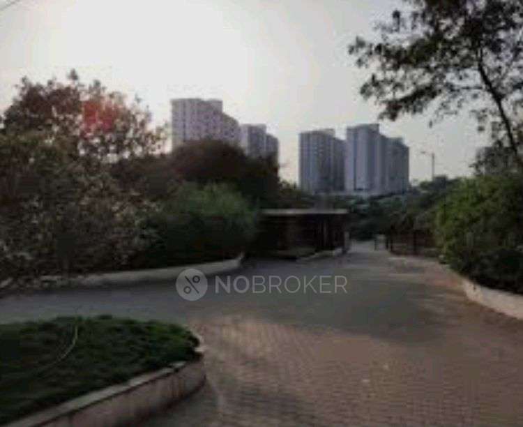 1 BHK Flat In Xrbia Phase 1 Ambi Talegoan for Rent  In Xrbia Ambi