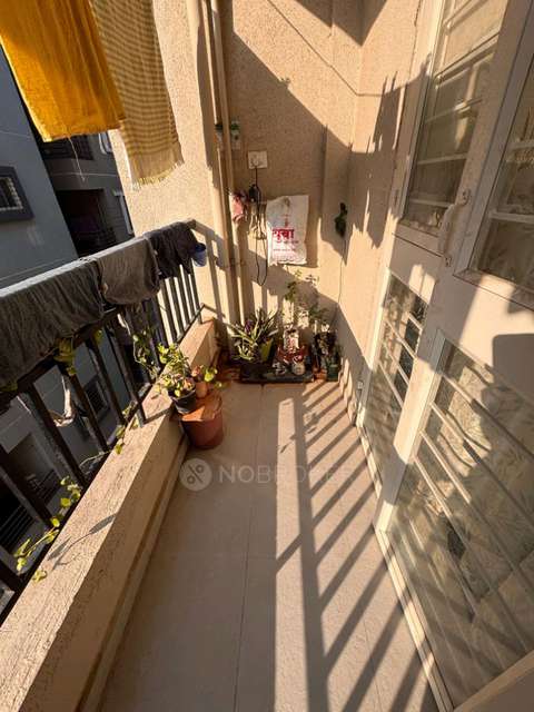 Single Room for Female In 1 RK  In  Hinjawadi