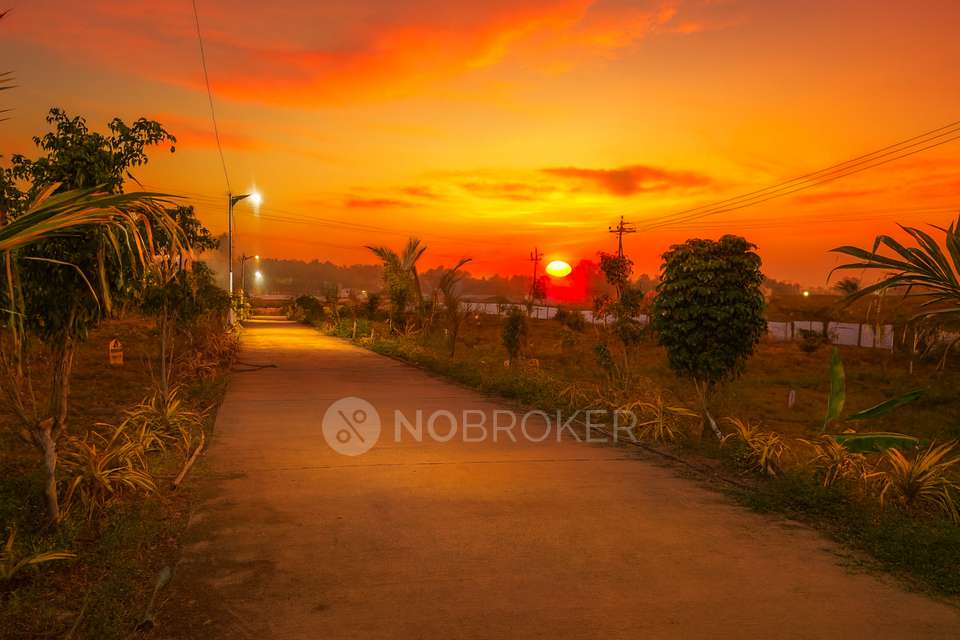 Plot For Sale  In Shambho Developers In Uruli Kanchan