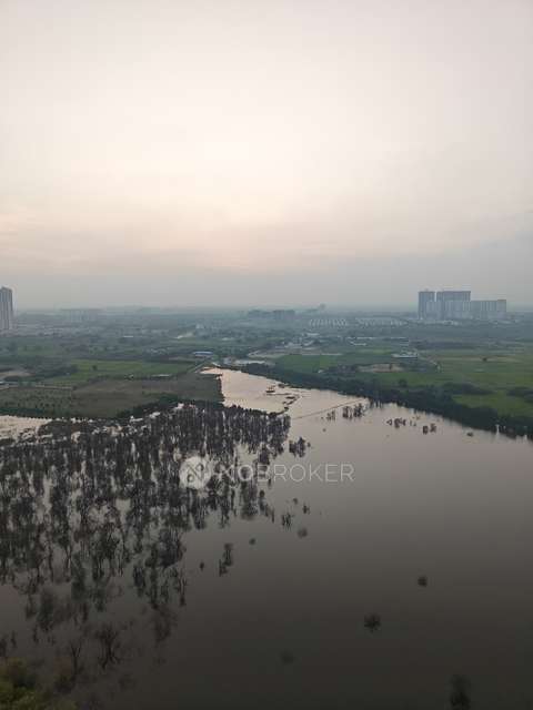 2 BHK Flat In Aliens Space Station for Rent  In Tellapur