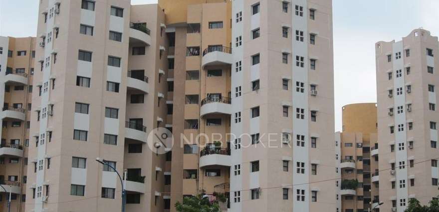 2 BHK Flat In Daffodils Apartment for Rent  In  Magarpatta