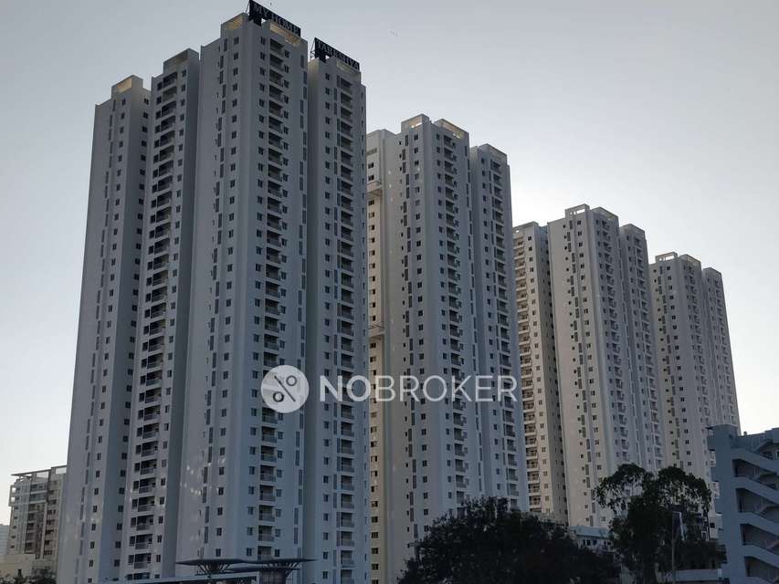 3 BHK Flat In My Home Tarkshya for Rent  In Kokapet
