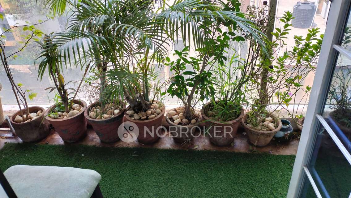 2 BHK Flat In Matrix Alfa 1 for Rent  In  Kharadi