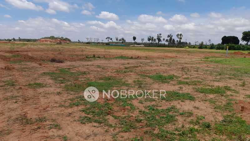 2 BHK Flat In Elements Of Nature Bhoomi for Rent  In  Varthur