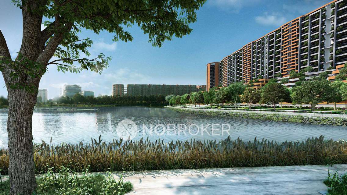 3 BHK Flat In Pursuit Of A Radical Rhapsody for Rent  In Hoodi