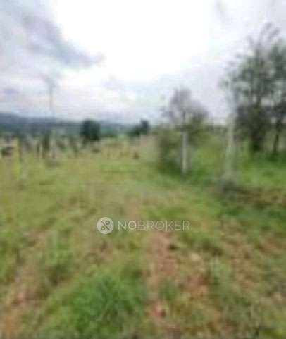 Plot For Sale  In Bannikuppe
