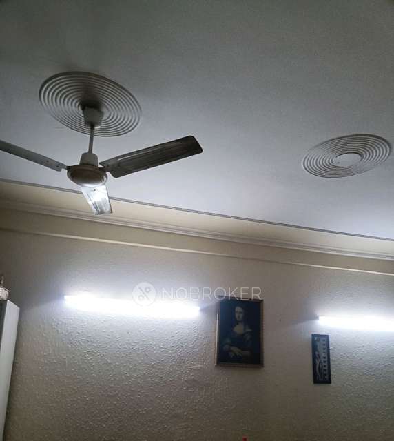 Single Room for Male In 3 BHK  In Dda Paryavaran Complex