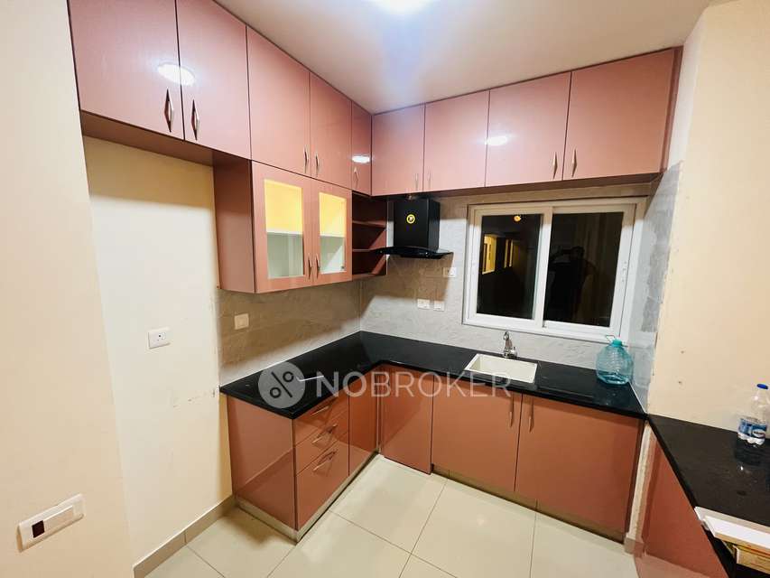 2 BHK Flat In Kino At Brigade Orchards, Devanahalli for Rent  In Devanahalli