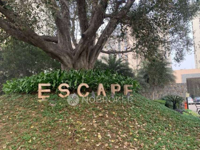 3 BHK Flat In Unitech Escape for Rent  In Sector 50