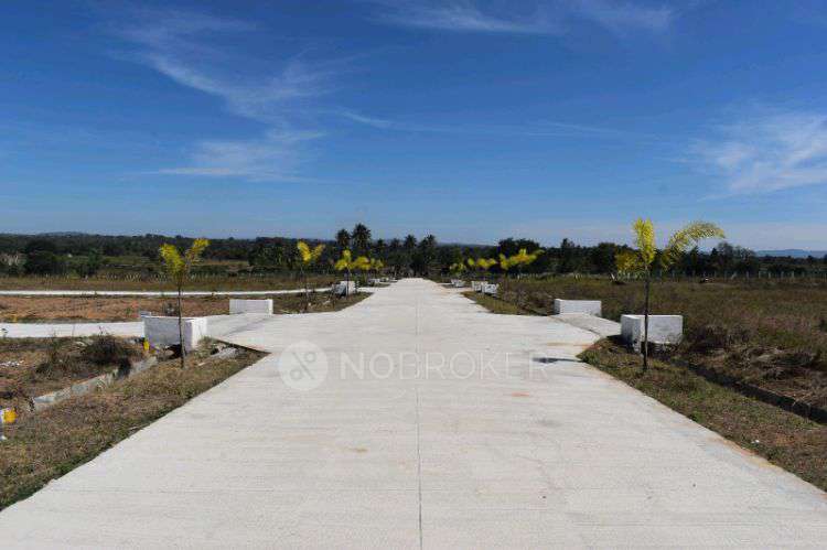 Plot For Sale  In Kged Vila In Kolar
