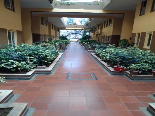 3 BHK Flat In Green Meadows, Haralur for Rent  In Haralur