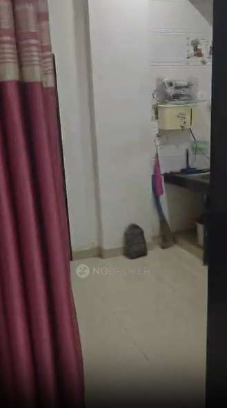 1 BHK Flat In Brama Hights for Rent In Vadgaon Budruk