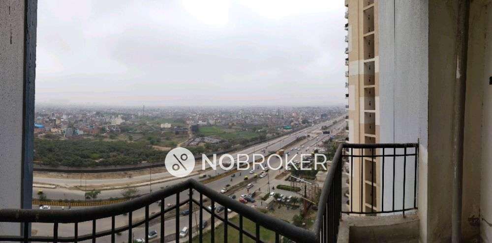 Single Room for Male In 2 BHK  In Radicon Vedantam In Sector 16c