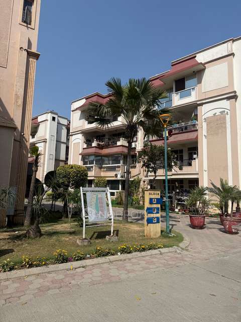 3 BHK Flat In Ashiana Black Gold Apartments for Rent  In Ashiana Black Gold Apartments