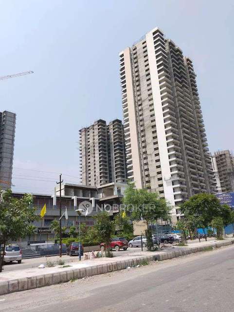 3 BHK Flat In Panchsheel Greens 2 For Sale  In Sector 16b