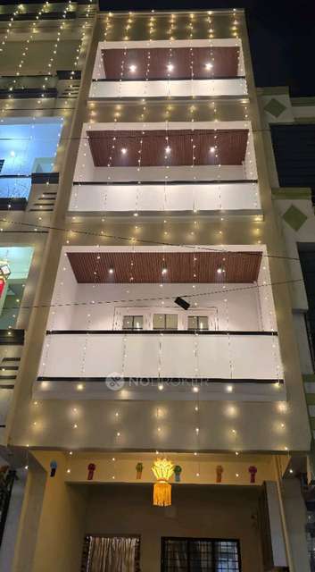 PG for Boys in Dy Patil College