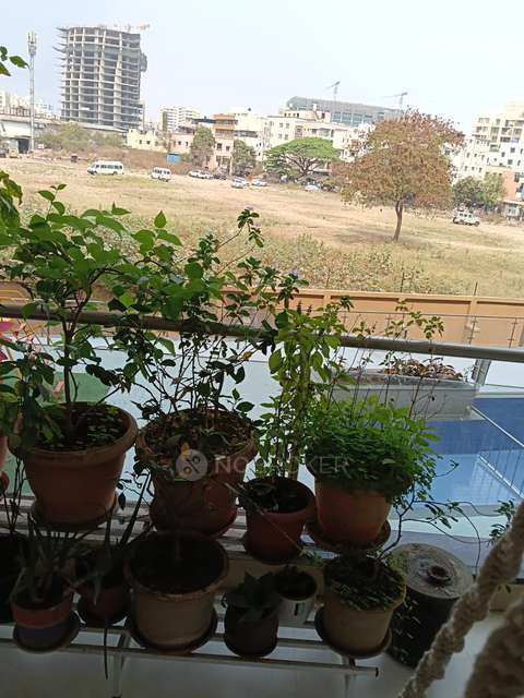 3 BHK Flat In Global Precioso Apartment for Rent  In Kharadi