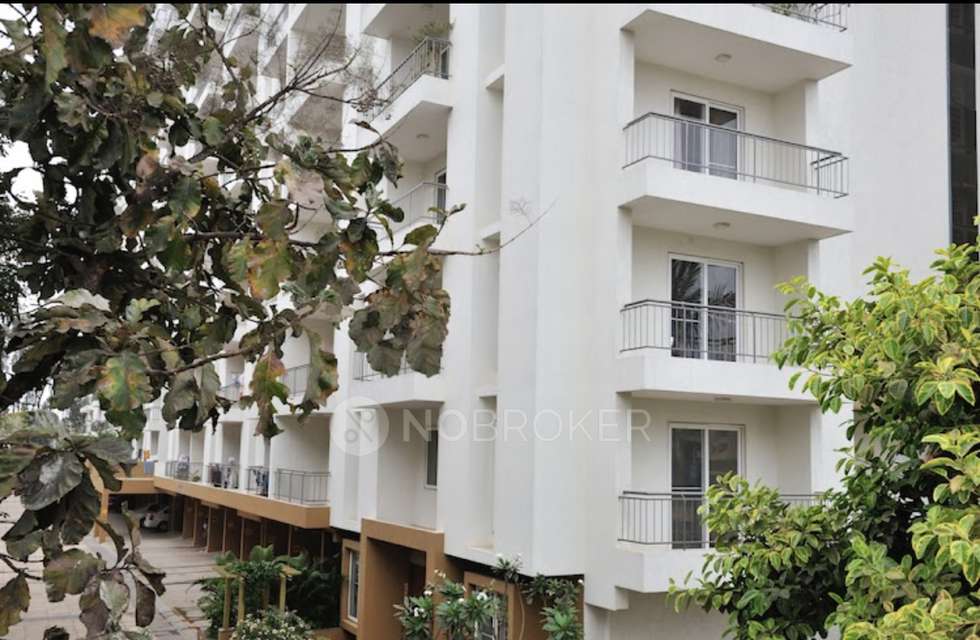 4+ BHK Flat In Spectra Cypress For Sale  In Spectra Cypress