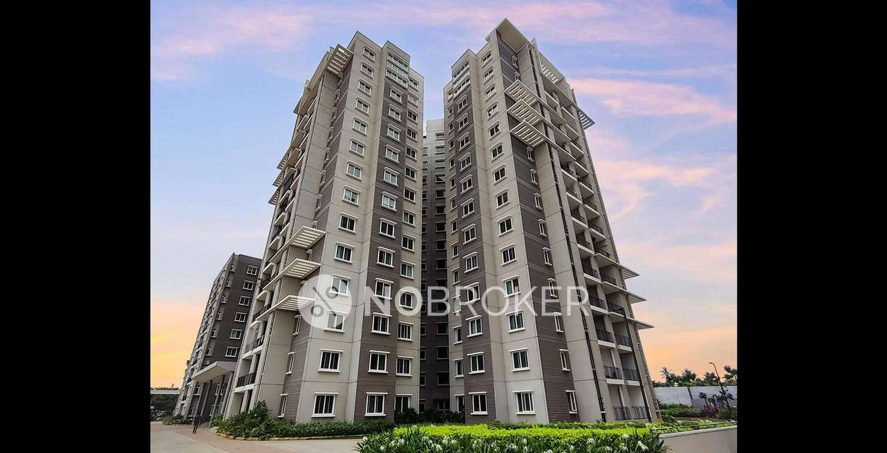 3 BHK Flat In Juniper At Brigade Orchards for Rent  In Juniper At Brigade Orchards