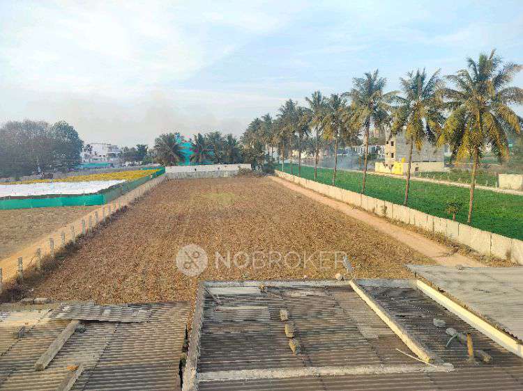 Plot For Sale  In Cheemasandra