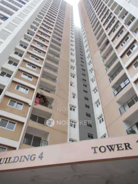 2 BHK Flat In  Prestige Falcone City for Rent  In Konanakunte