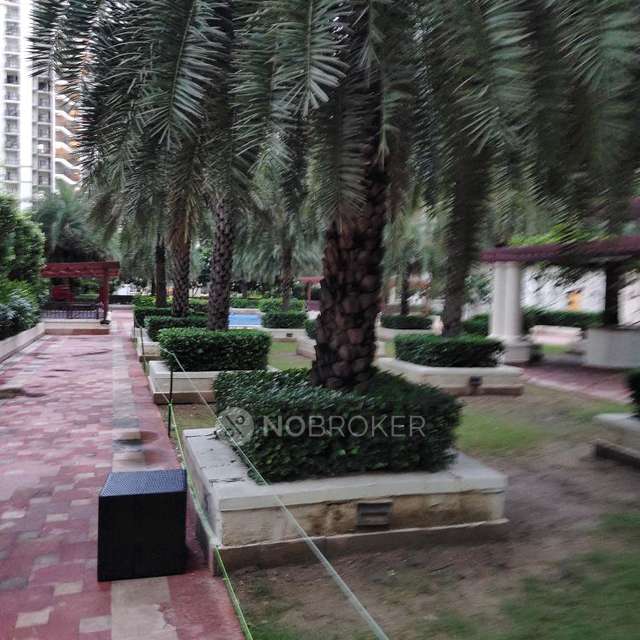 2 BHK Flat In Dlf Capital Greens For Sale  In Moti Nagar