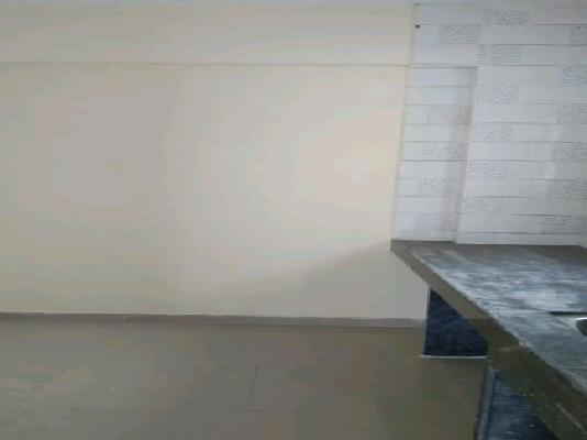 1 BHK Flat In Sai Ganesh Complex for Rent  In Sai Ganesh Complex