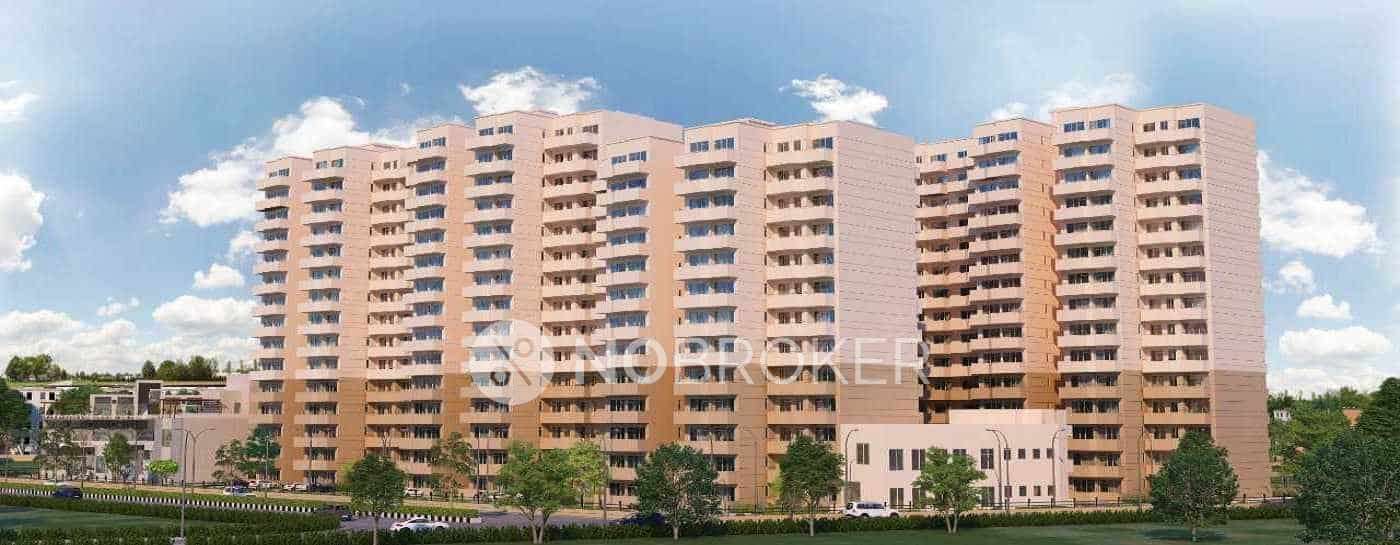 Single Room for Male In 2 BHK  In Pyramid Elite In Sector 86