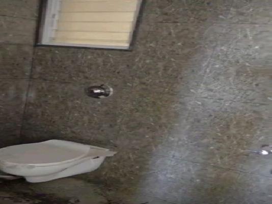 1 BHK Flat In Lotus Urban Homes for Rent  In Charholi Budruk