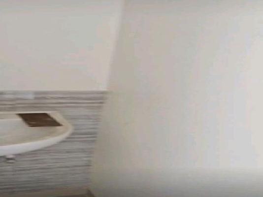 1 BHK Flat In Lotus Urban Homes for Rent  In Charholi Budruk