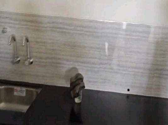 1 BHK Flat In Lotus Urban Homes for Rent  In Charholi Budruk